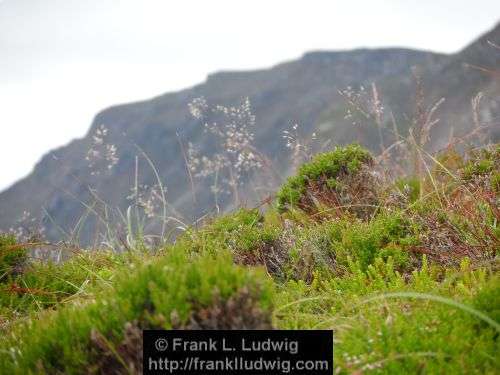 Slieve League